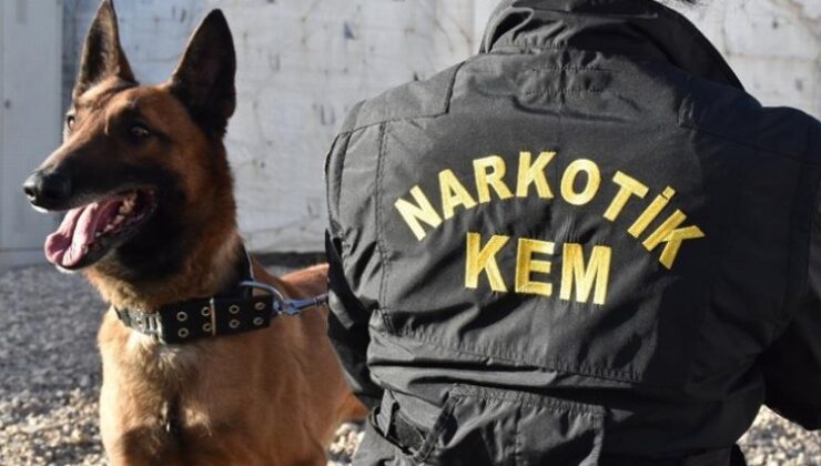 Hakkari’de dedektör köpekler polisin büyük destekçisi