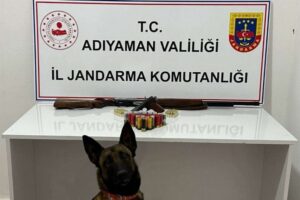 Adıyaman İl Jandarma Komutanlığı tarafından bir bağ evinde gerçekleştirilen aramada ruhsatsız