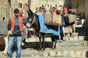 Artuklu Belediyesi, kentte dar sokaklarda çöp toplamada kullanılan eşeklerle ilgili