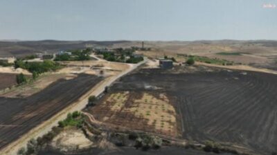 Ak Parti Mardin Milletvekili Dr. Muhammed Adak, Mardin ve Diyarbakır’da