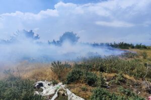 Boztepe Köyü’nün 1.5 – 2 kilometre mesafede bir buğday tarlasında