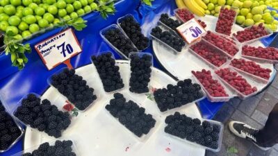 Yaz sezonunun ortalarına gelmemiz ile birlikte, soğuk içeceklerin vazgeçilmez aromaları