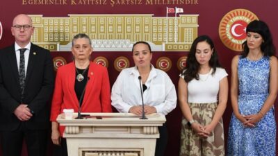 CHP Trabzon Milletvekili Sibel Suiçmez, Hayvanları Koruma Kanununda Değişiklik Yapılmasına