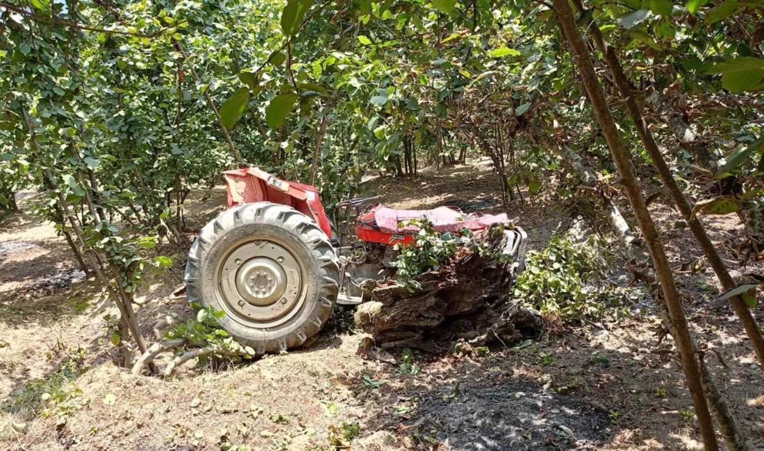 Düzce’de devrilen traktörün altında kalan bir kişi hayatını kaybetti. Sibel