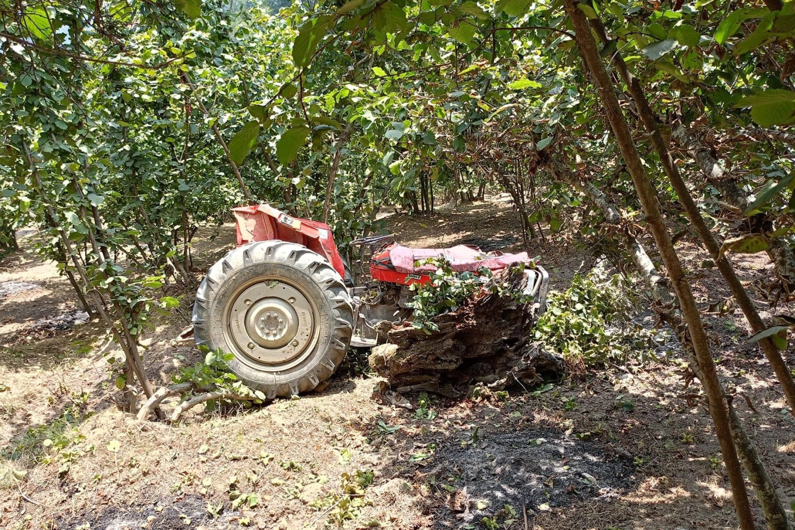 Düzce’de devrilen traktörün altında kalan bir kişi hayatını kaybetti. Sibel