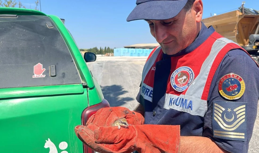 Edirne İl Jandarma Komutanlığı Çevre, Doğa ve Hayvanları Koruma Timi,