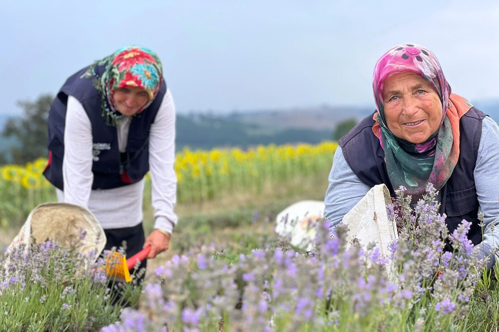 Büyükşehir Belediyesince katma değeri yüksek tıbbi ve aromatik bitki üreticiliğini teşvik