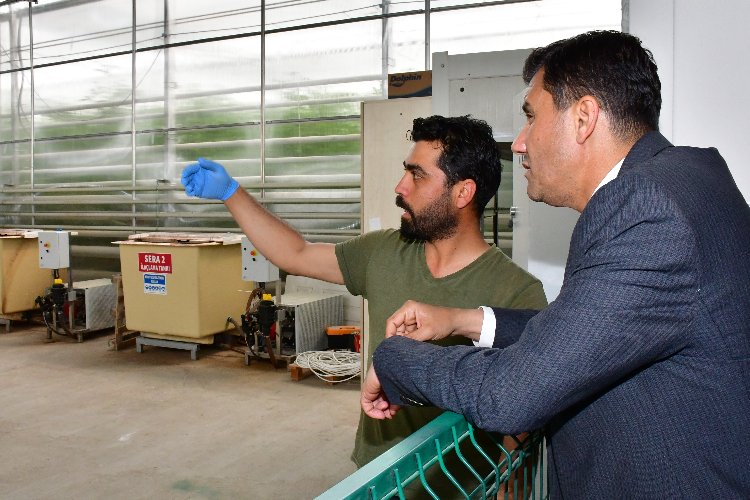 Manisa Büyükşehir Belediyesi, Kula ‘Jeotermal Kaynaklı Teknolojik Sera Projesi’nin su
