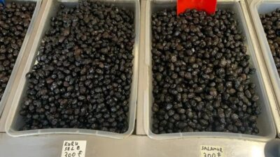 Türkiye’nin en lezzetli zeytinin üretildiği İznik’te zeytin fiyatları piyasanın altında