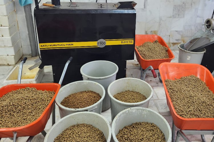 Muğla Büyükşehir Belediyesi can dostlar için kompost teknolojisi kullanarak bugüne
