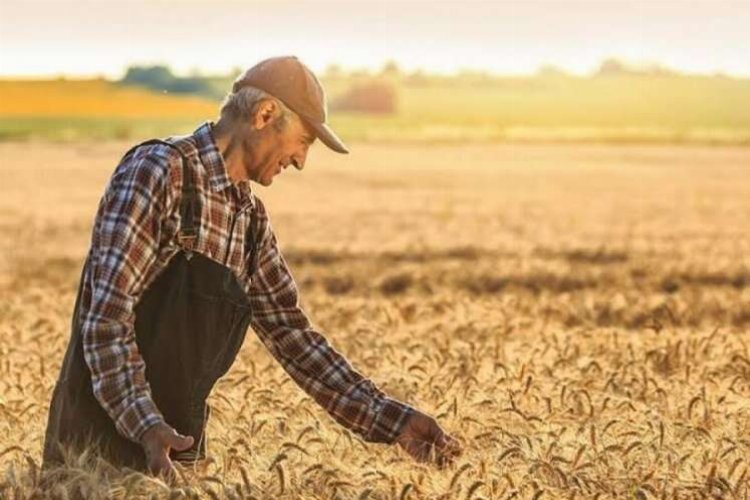 Tarım Ürünleri Üretici Fiyat Endeksi, Haziran ayında bir önceki aya