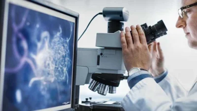 Hizmet Üretici Fiyat Endeksi’nde Temmuz ayı verilerine göre bilimsel ve