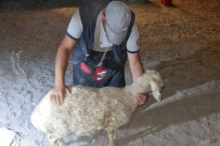 Kayseri Büyükşehir Belediyesi İtfaiye Daire Başkanlığı ekipleri, gece yarısı yaklaşık