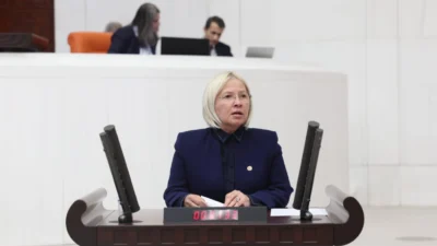 Cumhuriyet Halk Partisi (CHP) Tekirdağ Milletvekili ve TBMM Milli Eğitim,