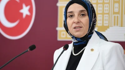 DEVA Partisi İstanbul Milletvekili Elif Esen, şiddet olaylarındaki artışa dikkati