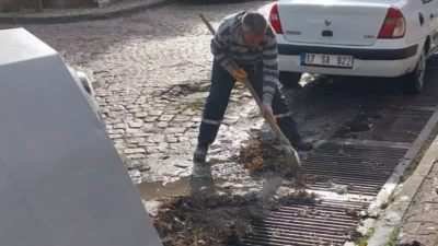 Körfez bölgesi ve Ayvalık’ta geçtiğimiz hafta içinde yoğun bir şekilde