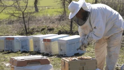 Balıkesir Büyükşehir Belediye Başkanlığı’na bağlı Balıkesir Çiftçi Eğitim Merkezi (BAÇEM),