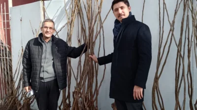 Bilecik’in Pazaryeri ilçesinde, “Bilecik Meyve Üretimi ile Daha Bir Güzel”