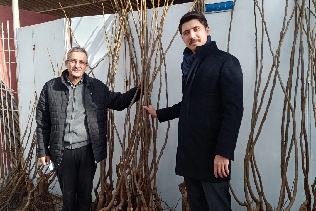 Bilecik’in Pazaryeri ilçesinde, “Bilecik Meyve Üretimi ile Daha Bir Güzel”