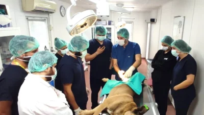 Osmangazi Belediyesi’nin Uludağ Üniversitesi Veteriner Fakültesi ile imzaladığı protokol çerçevesinde