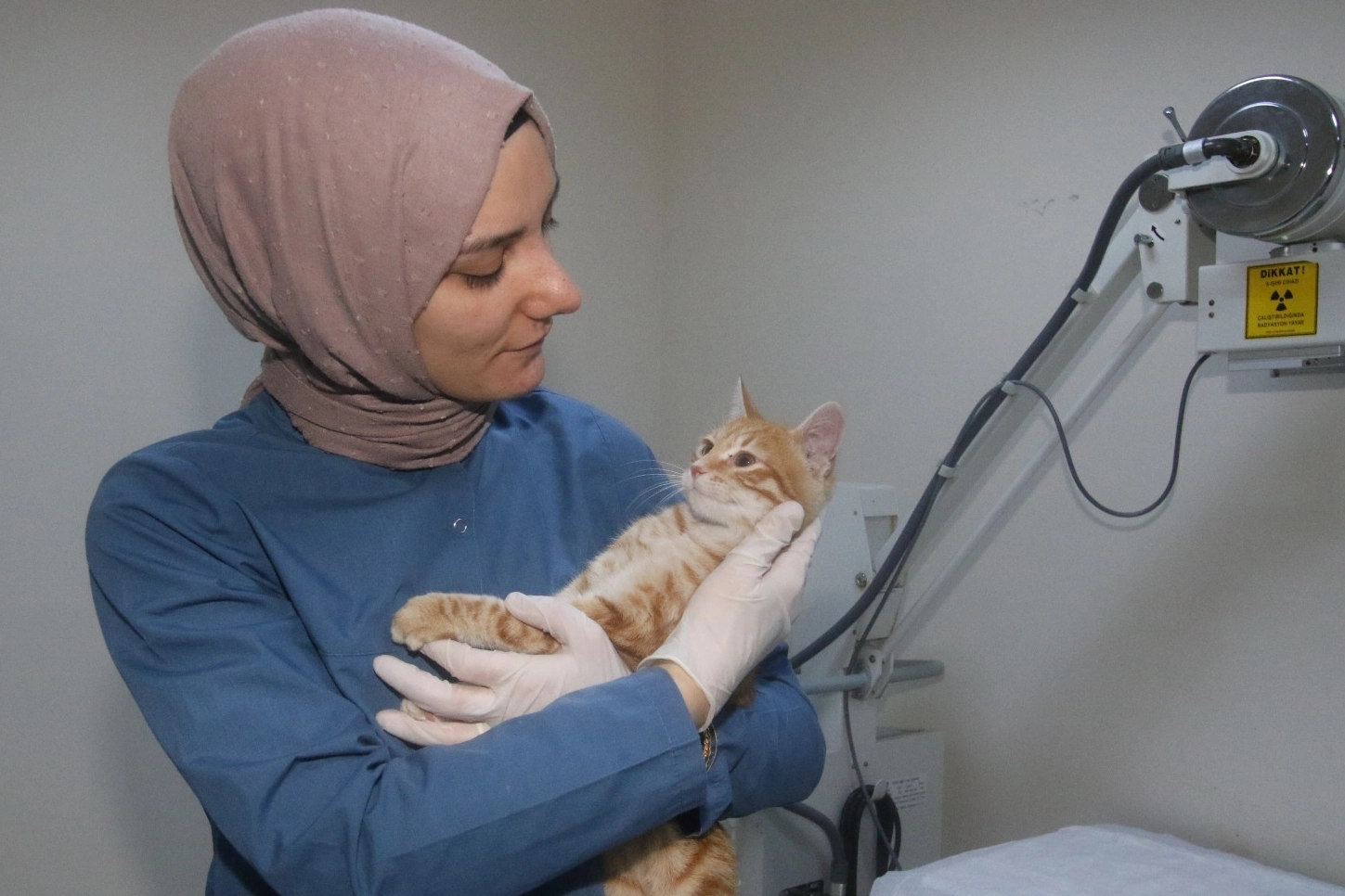 Kocaeli Çayırova’da yaralı halde bulunan yavru kedi, Patilik Mutlu Sokak