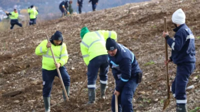 Kocaeli Büyükşehir, “Daha yeşil bir Kocaeli” sloganıyla yürüttüğü ağaçlandırma çalışmalarıyla