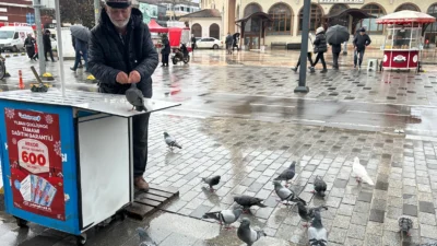 Düzce’de bir seyyar ‘talih kuşu’ bayii güvercinleri kendi elleriyle besledi.