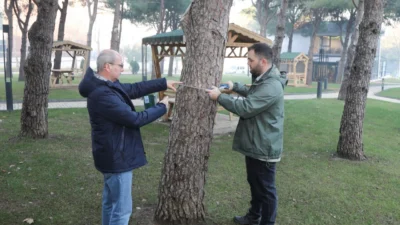 BTÜ Orman Fakültesi Orman Mühendisliği Bölümü Araştırma Görevlisi Burhan Gencal’ın,orman