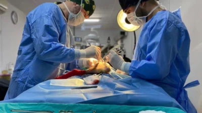 Bursa Osmangazi Belediyesi, sahipsiz sokak hayvanlarının tedavisi ve rehabilitasyonunda olduğu