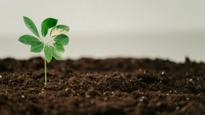 Hollanda, ileri teknoloji gübreleme çözümlerinde rotasını Türkiye’ye çevirdi. Tarım sektöründe