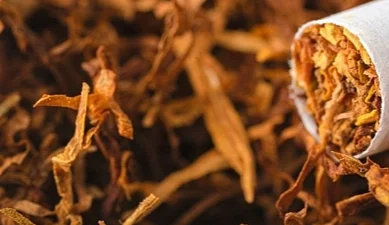 Yurt Dışı Üretici Fiyat Endeksi yıllık ve aylık bazda artış