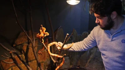 Antalya’da kış aylarının en soğuk günleri etkili olurken, Antalya Büyükşehir