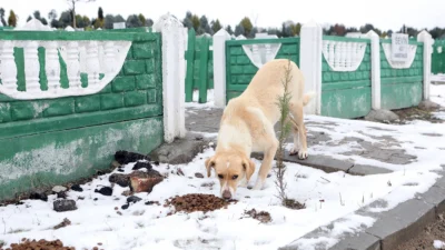 Sakarya Büyükşehir Belediyesi, Sakarya’da etkili olan kar yağışı nedeniyle yiyecek