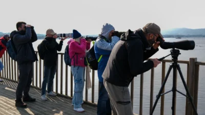 Kocaeli Büyükşehir tarafından İzmit Körfezi Sulak Alanı’nda düzenlenen 2. Flamingo