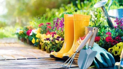 Hizmet Üretici Fiyat Endeksi verilerine göre Ocak ayında sektör bazında