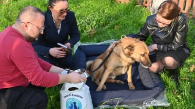 Manisa Büyükşehir Belediyesi Sağlık İşleri Daire Başkanlığı’na bağlı Hayvan Bakım