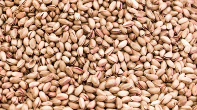 Türkiye, kamu-özel sektör iş birliğiyle, lezzeti tescilli Antep fıstığının üretim