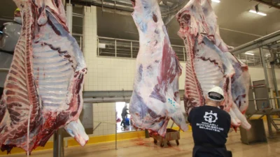 Uluslararası standartlarda hizmet veren Kocaeli Büyükşehir Belediyesi mezbahası, sağlıklı ve