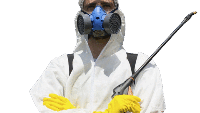 Ankara'da, haşere problemleri ile karşılaşan birçok kişi için etkili çözümler