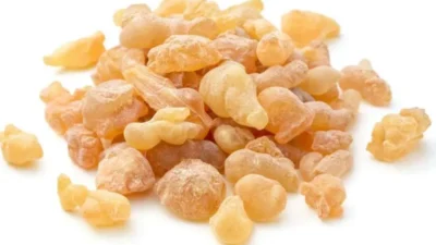 Akgünlük ağacı, farklı bölgelerde yetişen ve sağlık alanında önemli bir yere