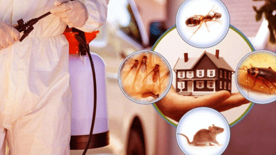 Doğal ilaçlama, günümüzde giderek daha fazla insan tarafından tercih edilmeye