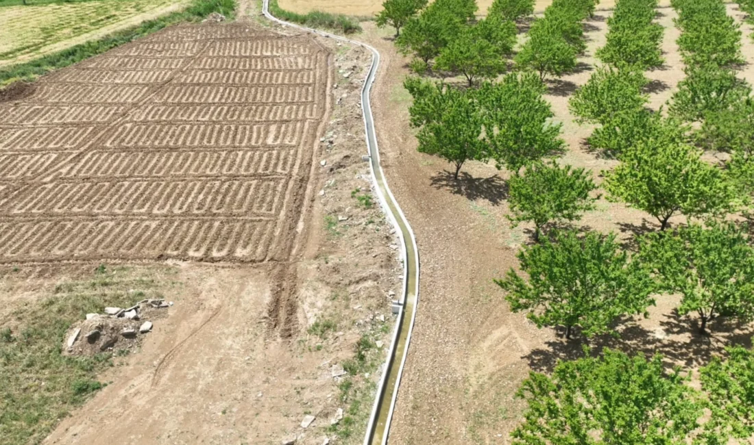 Malatya Büyükşehir Belediyesi’nin, sürdürülebilir tarım ve iklim değişikliğine katkı sunan