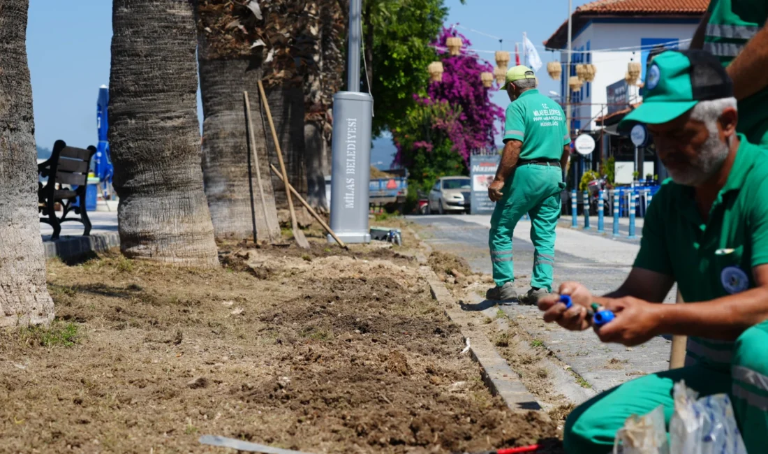 Muğla Milas Belediye Başkanı Fevzi Topuz, Güllük Mahallesi’ne ziyaret gerçekleştirerek