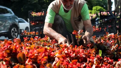 Sakarya Büyükşehir Belediyesi, yaklaşan Kurban Bayramı öncesinde şehrin sokaklarına renkli