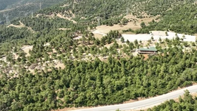 Bursa Gürsu’daki yangın faciasında, 80 dönümlük mesire alanı içinde yer