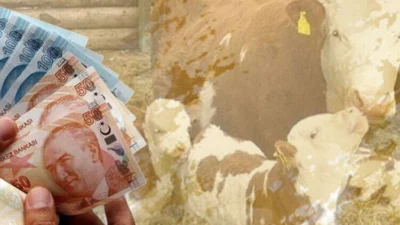 Tarım ve Orman Bakanı İbrahim Yumaklı, sürdürülebilir üretim için çiftçilere