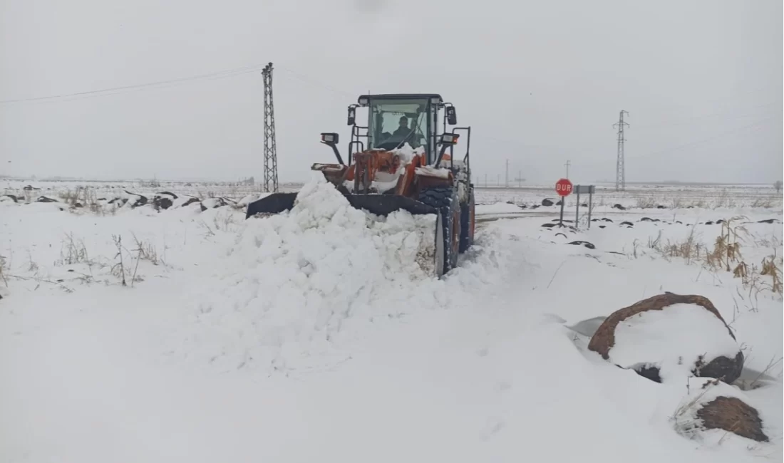 Son yılların en etkili kar yağışının yaşandığı Şanlıurfa’da, Büyükşehir Belediyesi